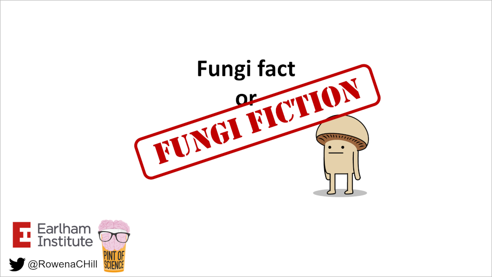 Fungi fact or fungi fiction